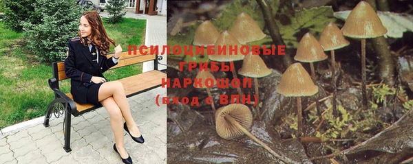 дживик Беломорск