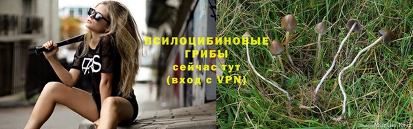 mdpv Белокуриха